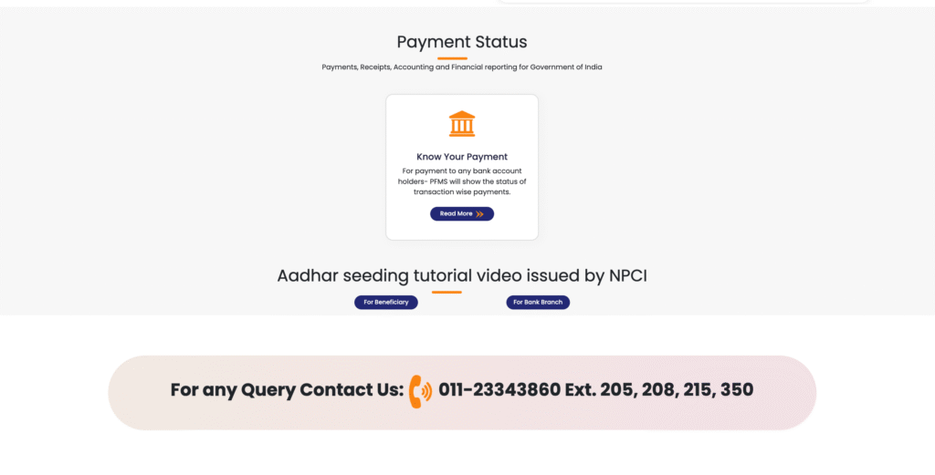 Payment Status