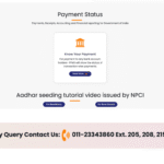 Payment Status